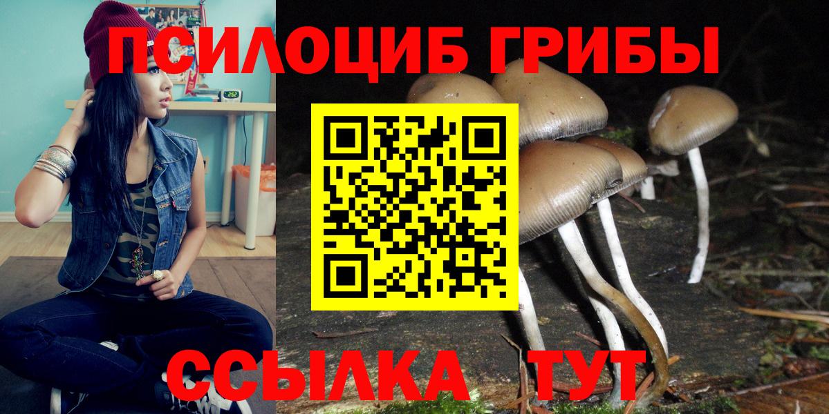 Галлюциногенные грибы Psilocybine cubensis  Вход с VPN  наркотики  Пыть-Ях 
